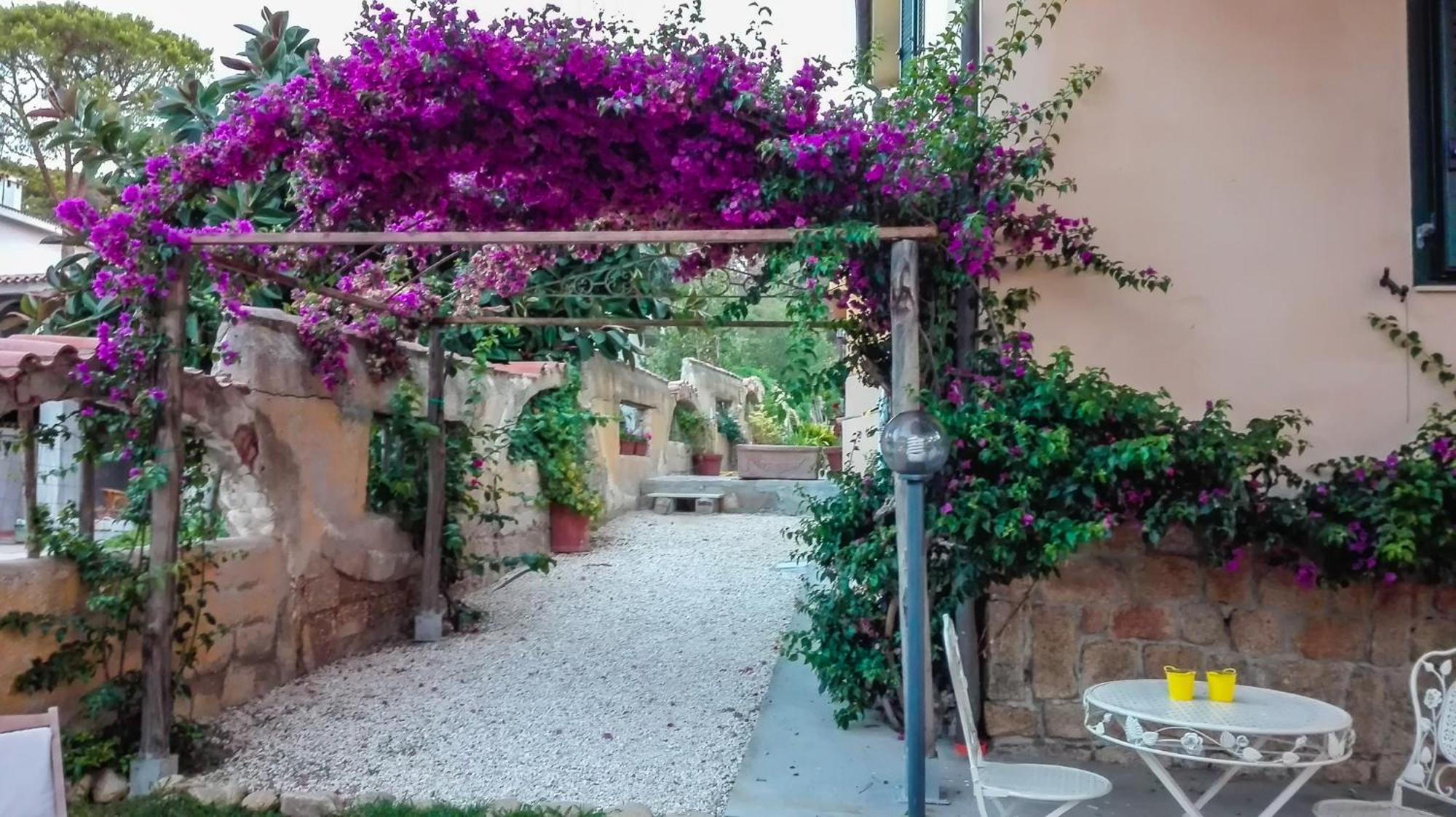 B&B Giglio Di Mare Cala Liberotto Dış mekan fotoğraf